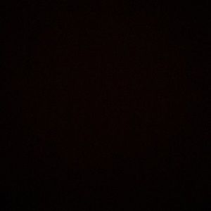 Meet your Posher, Satrina